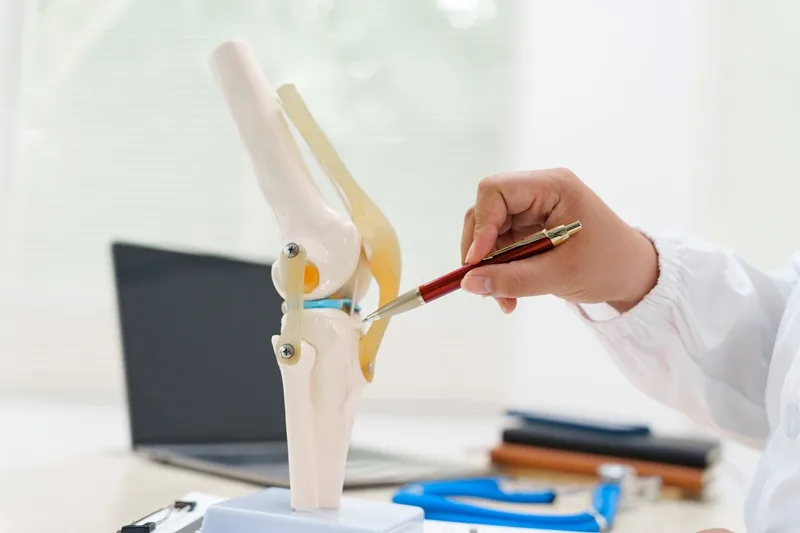 Atención en desgaste de rodilla